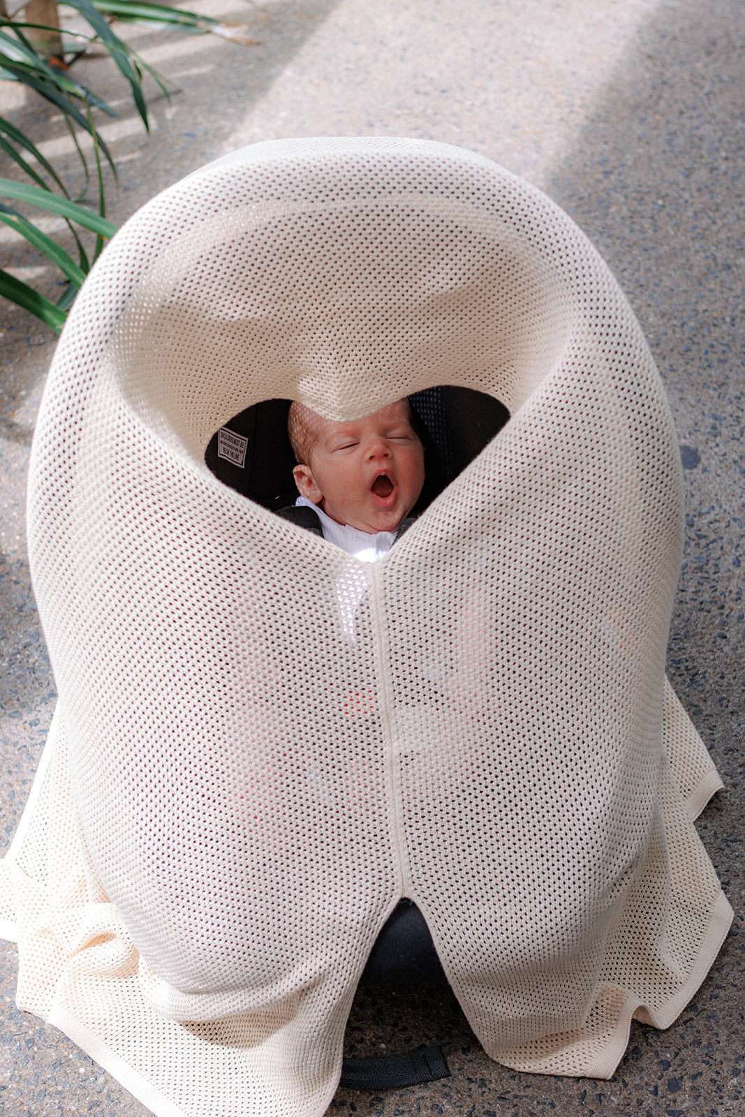 Sandshell Cowrie | 7 in 1 Breastfeeding Cover