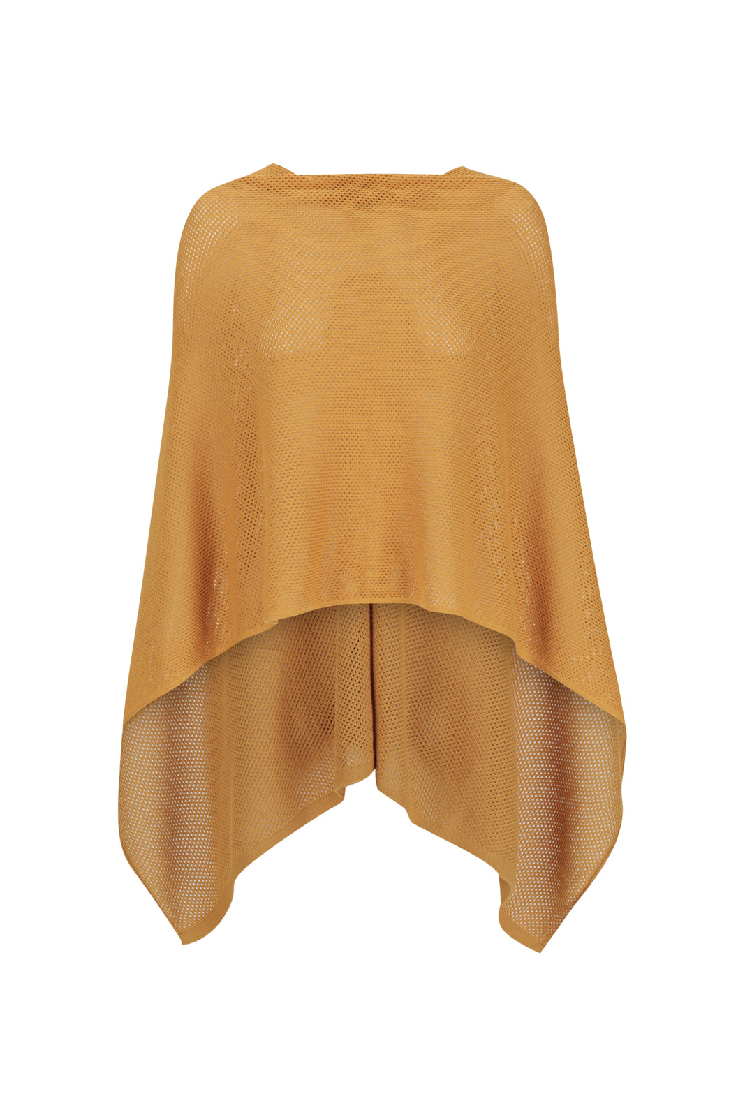 Butterscotch Cowrie